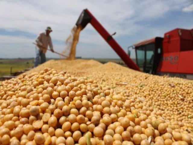 Trs Lagoas exporta mais e balana comercial de MS ostenta supervit j h 6 anos