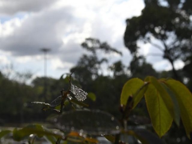 Previso  de tera-feira com possibilidade de chuvas em Mato Grosso do Sul