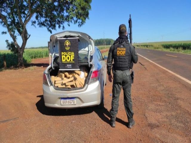 Em Maracaju, DOF apreende veculo com 186 kg de maconha que seguia para So Paulo