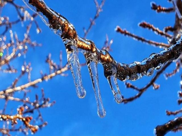 Separe o casaco: MS enfrentar frio de 5C na semana que vem; Maracaju pode registrar 6C