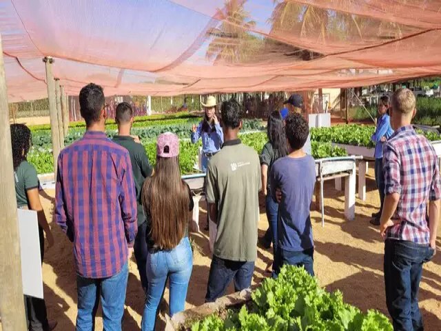 Maracaju: Inscries para curso Tcnico em Agronegcio seguem abertas at 10 de julho