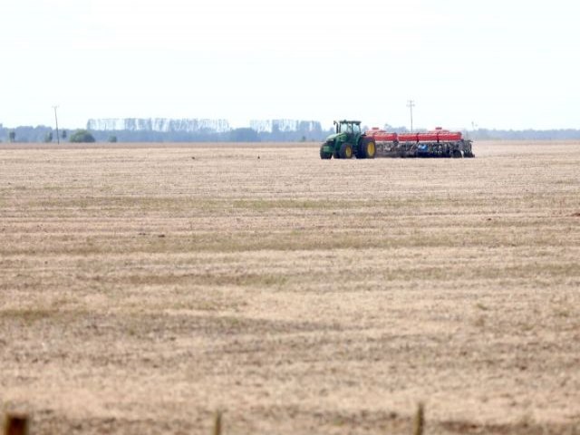 Produo agrcola de MS deve chegar a R$ 72,5 bilhes em 2023