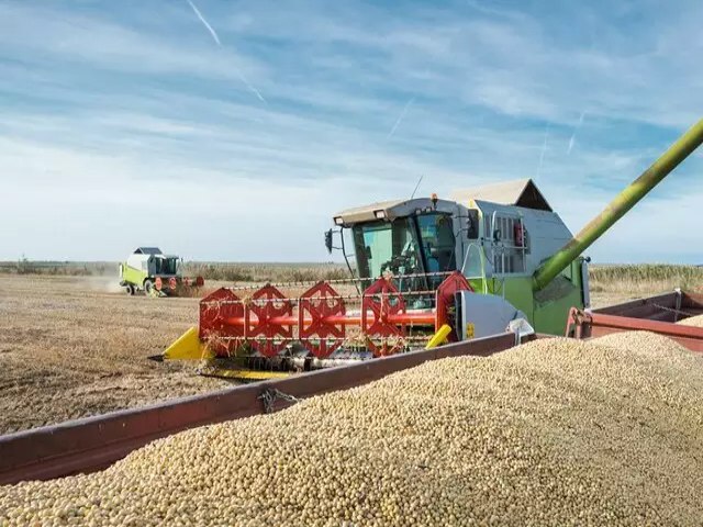 Conab estima produo recorde de gros com 315,8 milhes de toneladas