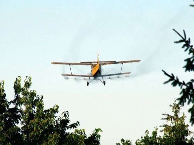 Bancada do PT quer proibir uso de avies pulverizadores de agrotxico em fazendas de MS