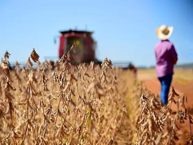 Municpios produtores de soja tm os melhores ndices de desenvolvimento em MS; Maracaju  o primeiro