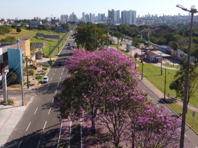 Tera-feira de tempo seco e quente com pouca possibilidade de chuva em todo o MS; Maracaju deve chegar aos 33C