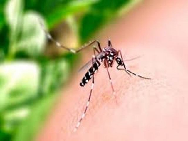 Prefeitura de Maracaju divulga Boletim Epidemiolgico da Dengue