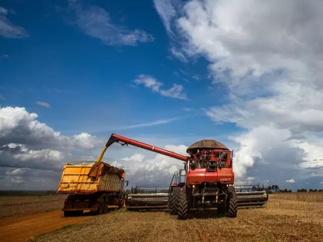 Preo da saca da soja desvaloriza 33% em um ano e fecha julho a R$ 120,91