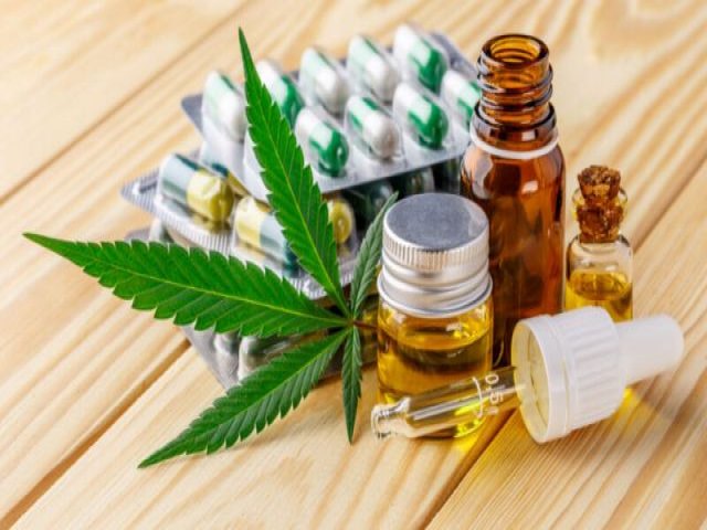 Estados aprovam distribuio de Cannabis medicinal pelo SUS em meio a indefinio federal