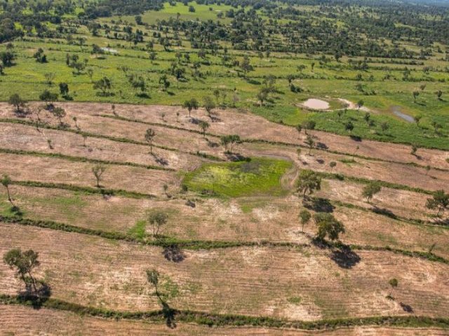 MPE diz que lei de MS  permissiva e exige fim dos desmatamentos no Pantanal