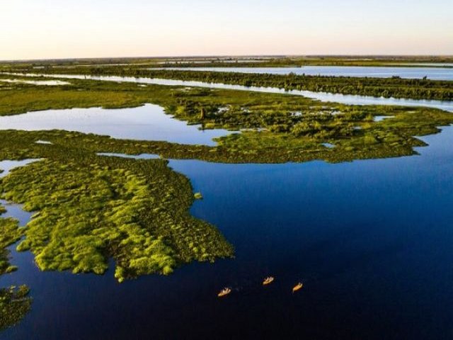 Nem chuvarada do primeiro semestre freou os desmatamentos do Pantanal