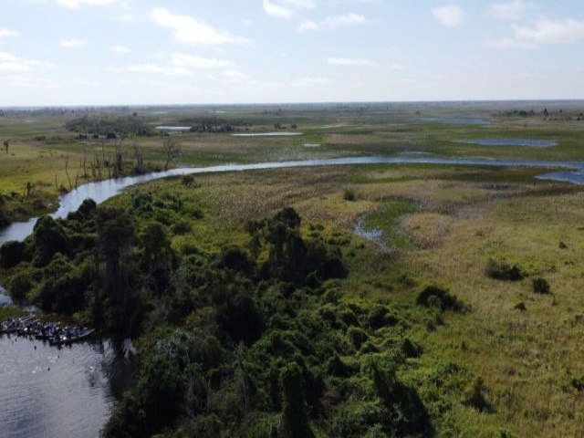 Pantanal: decreto que suspende desmatamento sai no dia 16; 'fechado para balano', diz governador