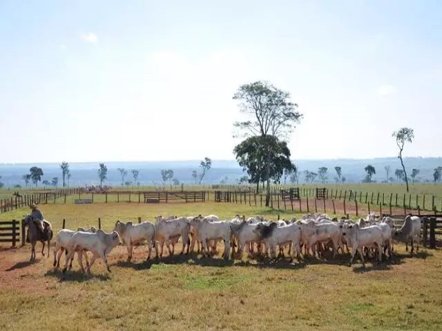 Comea prazo para entrega da declarao do Imposto Territorial Rural 2023