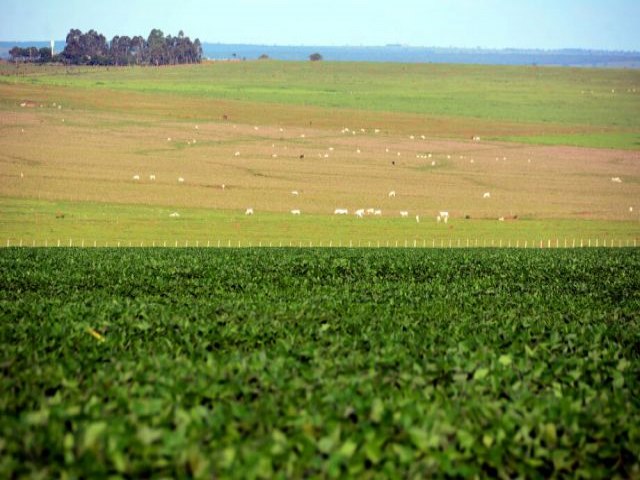 Empresrios do agronegcio de Mato Grosso do Sul pedem socorro  Justia