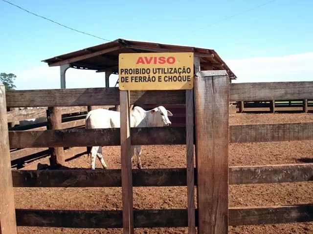 Expanso de boas prticas pode incrementar pecuria de corte com 'novo programa'