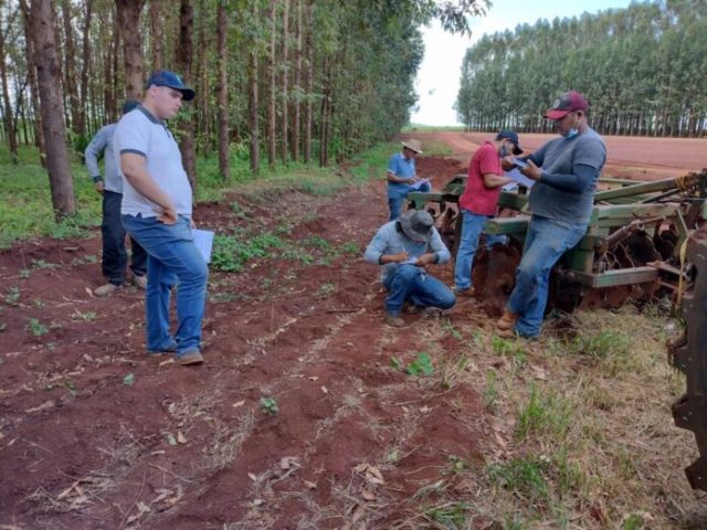 Sindicato Rural de Maracaju divulga lista dos cursos de setembro a dezembro deste ano