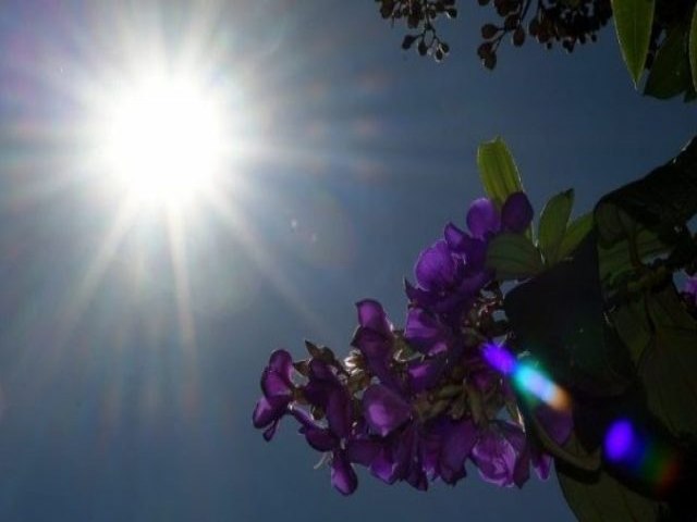 Quinta-feira tem previso de sol e tempo estvel em Mato Grosso do Sul; Maracaju pode chegar aos 37C