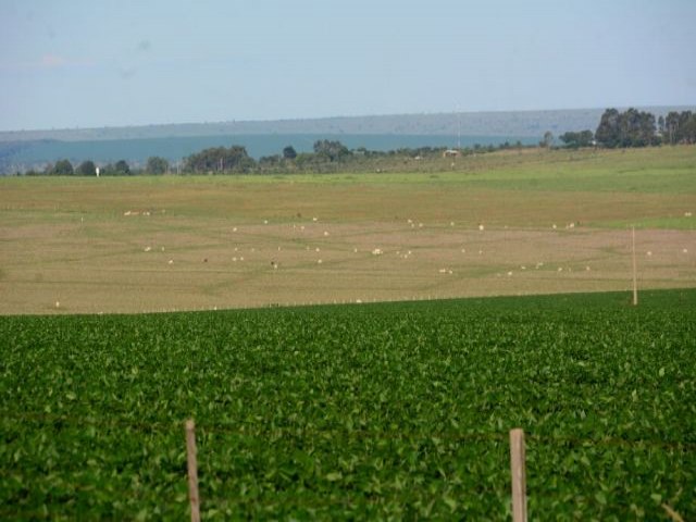 PIB da agropecuria deve crescer 10% em Mato Grosso do Sul em 2023