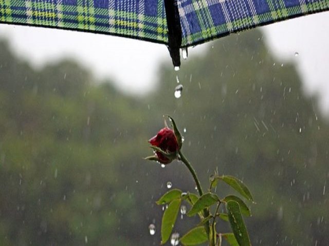 Semana comea com tempo instvel e possibilidade de chuva para Maracaju e diferentes regies