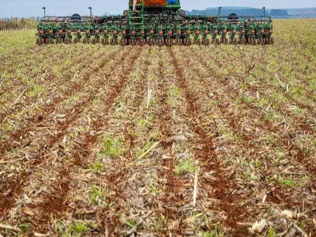 Semeadura da soja est liberada aos agricultores em Mato Grosso do Sul