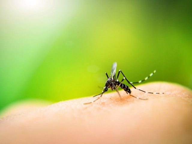 Prefeitura de Maracaju divulga Boletim Epidemiolgico da Dengue