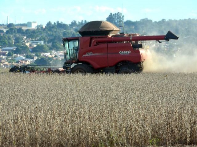 rea de cultivo de soja dobra em uma dcada em Mato Grosso do Sul