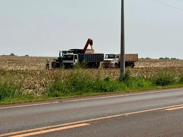 Mato Grosso do Sul fecha primeira quinzena de setembro colhendo 87,6% do milho