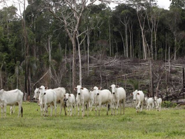 Brasil poupa agro e deixa de fora do mercado de carbono setor que mais emite gases 