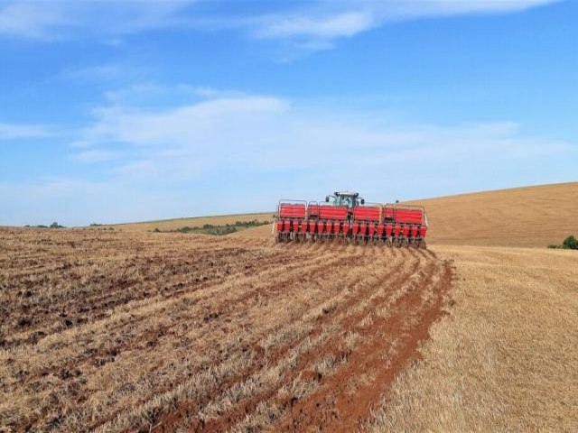 Chuva de at 156 milmetros traz alvio a produtores de soja de Mato Grosso do Sul