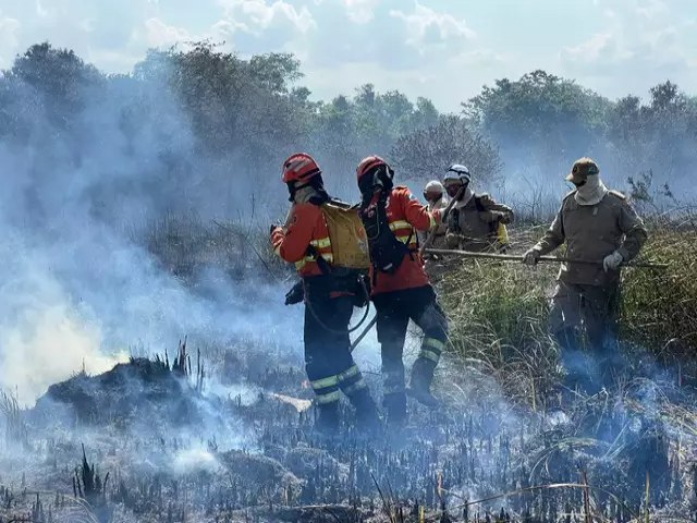 Estados Unidos doa equipamentos de combate a incndios florestais para MS