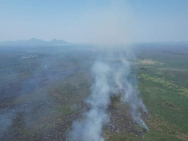 Governo de MS busca alternativa para evitar incndios no Pantanal