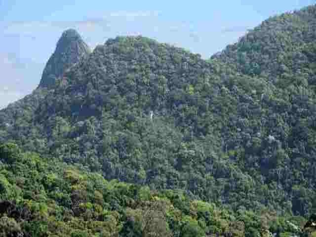 Brasil perde 15% de florestas naturais em quase 40 anos, aponta levantamento