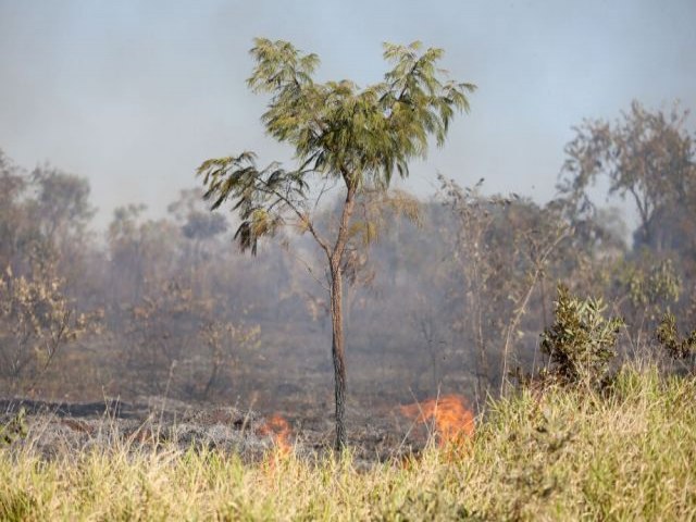 Ocorrncias de incndios caem em MS, mas aumentam em algumas regies do Estado