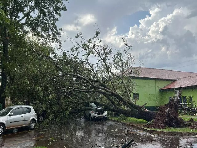 Tempestade de minutos derruba rvores e danifica veculos em Maracaju