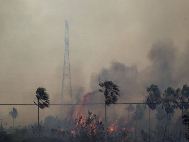 Atpico, fogo no pantanal em novembro assusta e cerca moradores em meio  seca