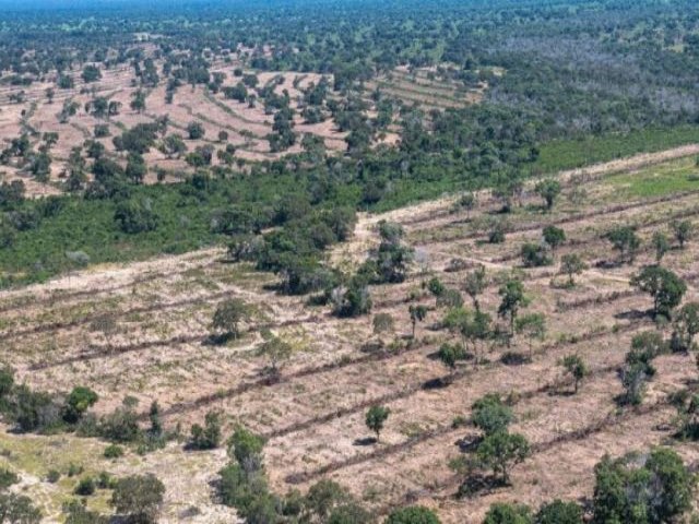 Em meio a construo da Lei do Pantanal, Abin discutir mudanas climticas em MS