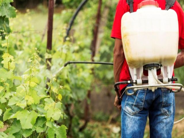 Venda de herbicida que contm agente nocivo  sade pode ser proibida em MS