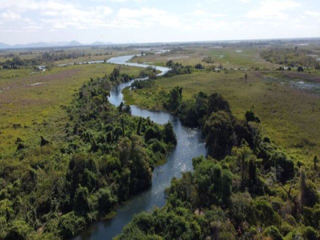 Chuva volta com fora ao Pantanal e afasta risco de incndios aps rastro de devastao