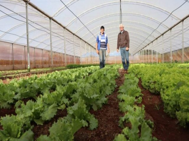 Fundect e Agraer apresentam em seminrio pesquisas para agricultura familiar