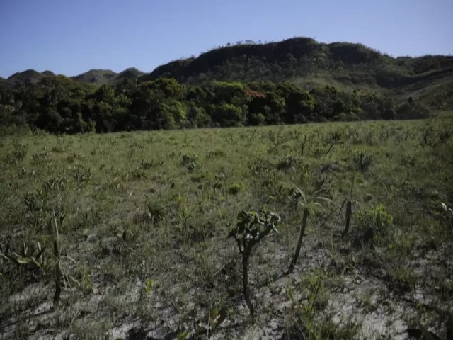 Destruio do cerrado cresce, mas desacelera, e governo lana plano para zerar desmatamento