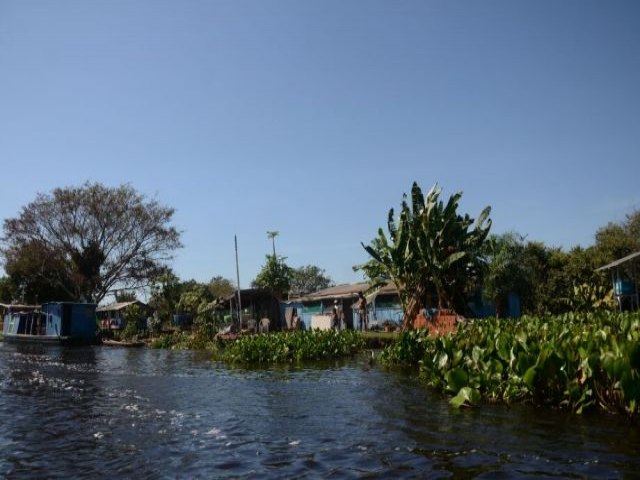 Crdito de carbono ainda  um tema desconhecido por muitos pantaneiros