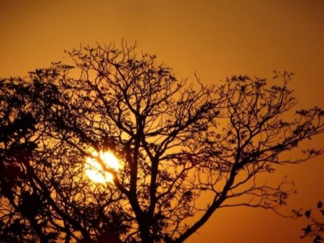 Temperatura passa dos 40C em duas cidades de MS no primeiro dia da 4 onda de calor