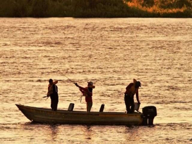 Deputado quer proibir a pesca do peixe dourado em MS at 2029