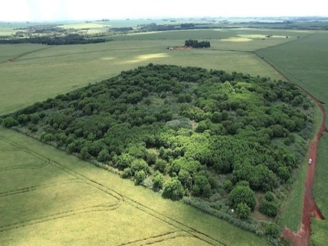 Prefeitura de Maracaju realiza diagnstico ambiental na rea de lixo desativado