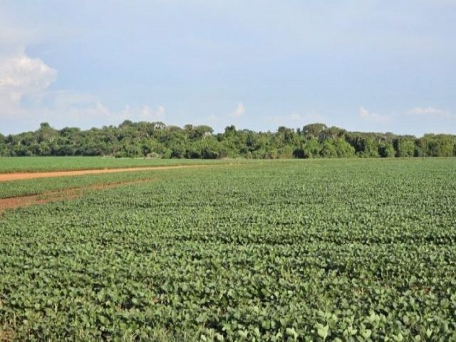 Ministrio da Agricultura prorroga o plantio da soja at 13 de janeiro em Mato Grosso do Sul