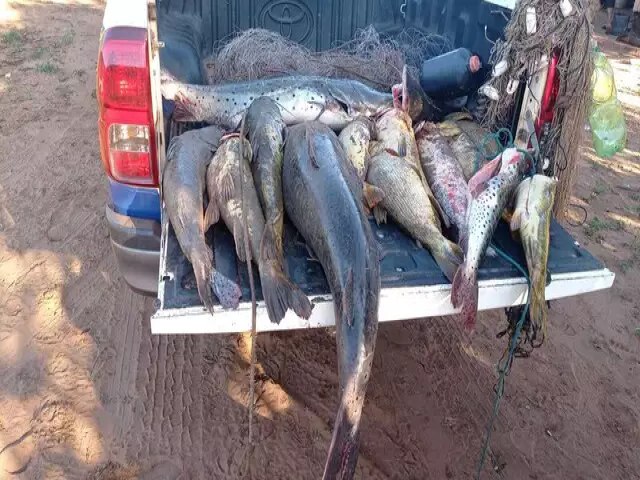 Operao tem 902 kg de pescado apreendidos e R$ 134 mil em multas