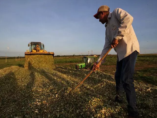 Para a pecuria leiteira, hora de preparar-se para o inverno  agora