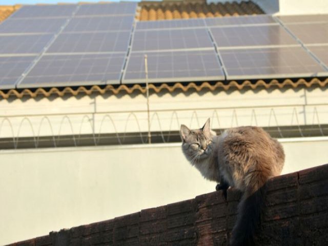 Mato Grosso do Sul gera 92% da energia eltrica a partir de fontes renovveis