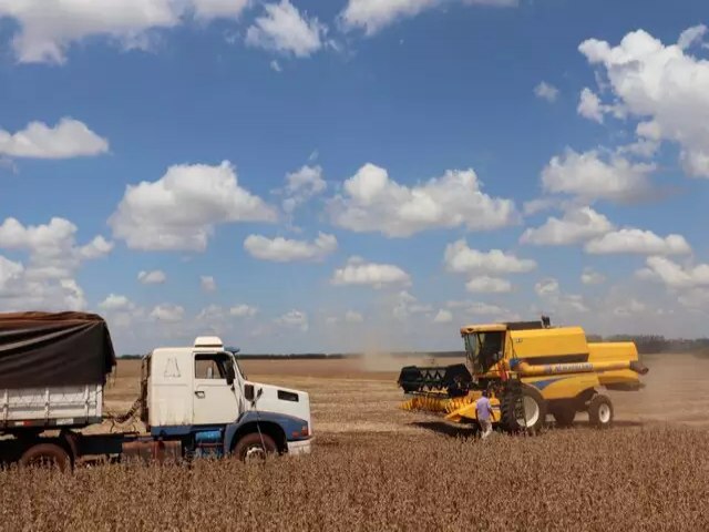 Impacto com perdas na soja em Mato Grosso do Sul deve chegar a R$ 1,72 bilho