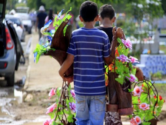 MS  o estado com mais registros de trabalho infantil nas piores atividades